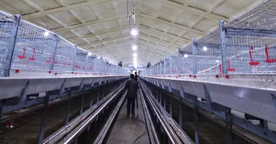 養鴨場老板：熱泵供暖溫度高，費用比燒煤還省！